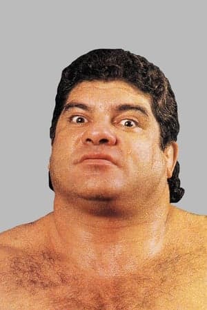 WWE Survivor Series 1987