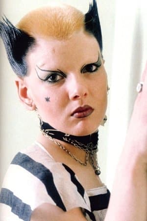The Punk Rock Movie