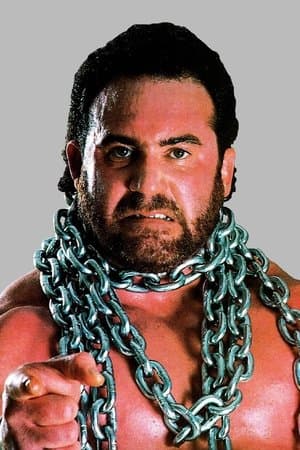 WWE Survivor Series 1988