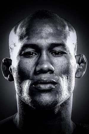 UFC 198: Werdum vs. Miocic