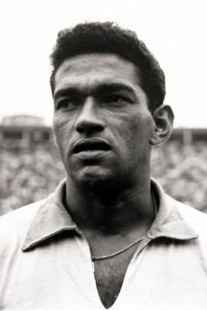 Garrincha: Joy of the People