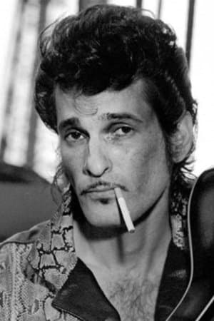Born to Lose: The Last Rock and Roll Movie
