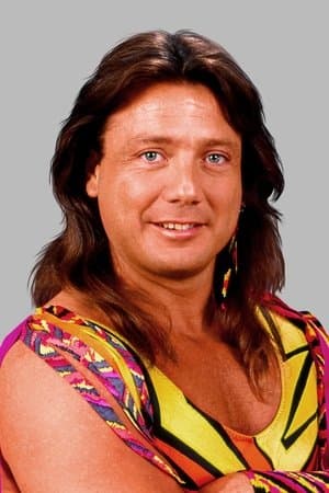 WWE Survivor Series 1989