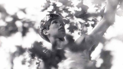 A Separate Peace