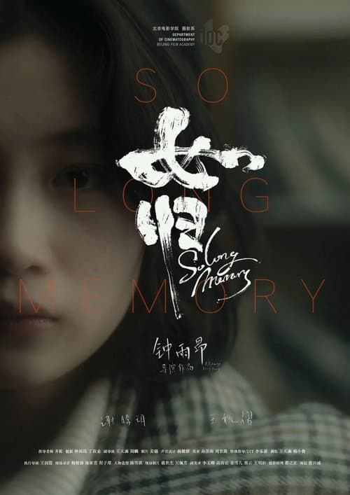 So Long Memory