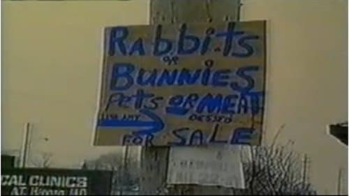 Pets or Meat: The Return to Flint