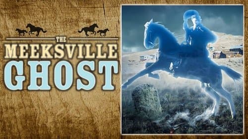 The Meeksville Ghost