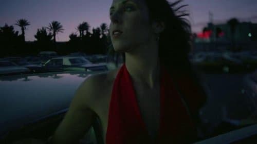 Her Last Fling