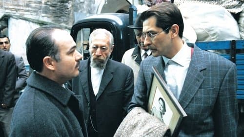 Salkım Hanım'ın Taneleri