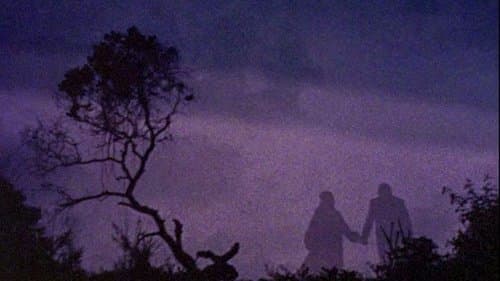 Curse of the Vampires
