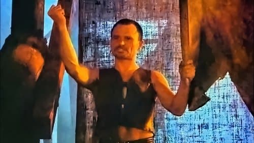 Stephen, the King