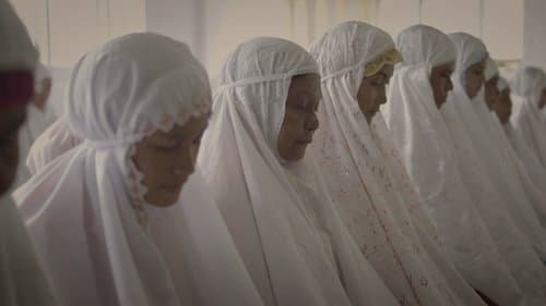 Thy Womb
