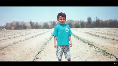 Free Child