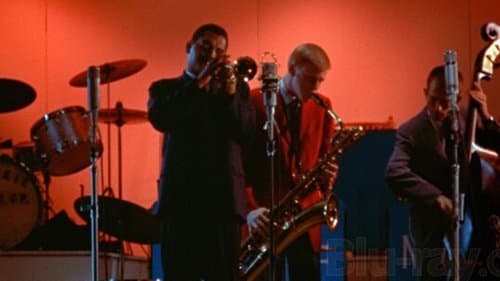 Jazz on a Summer's Day