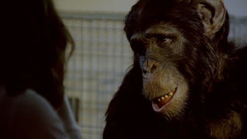 Amazing Ape