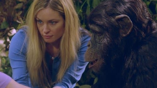 Amazing Ape