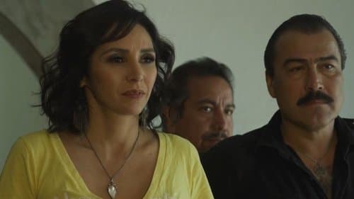 Las amantes del narco III
