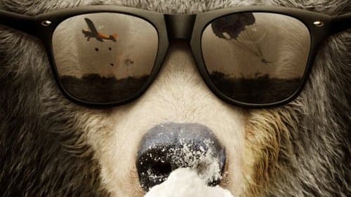 Cocaine Bear: The True Story