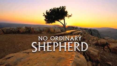 No Ordinary Shepherd